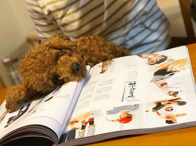 雑誌を見てると眠くなるなぁ～～