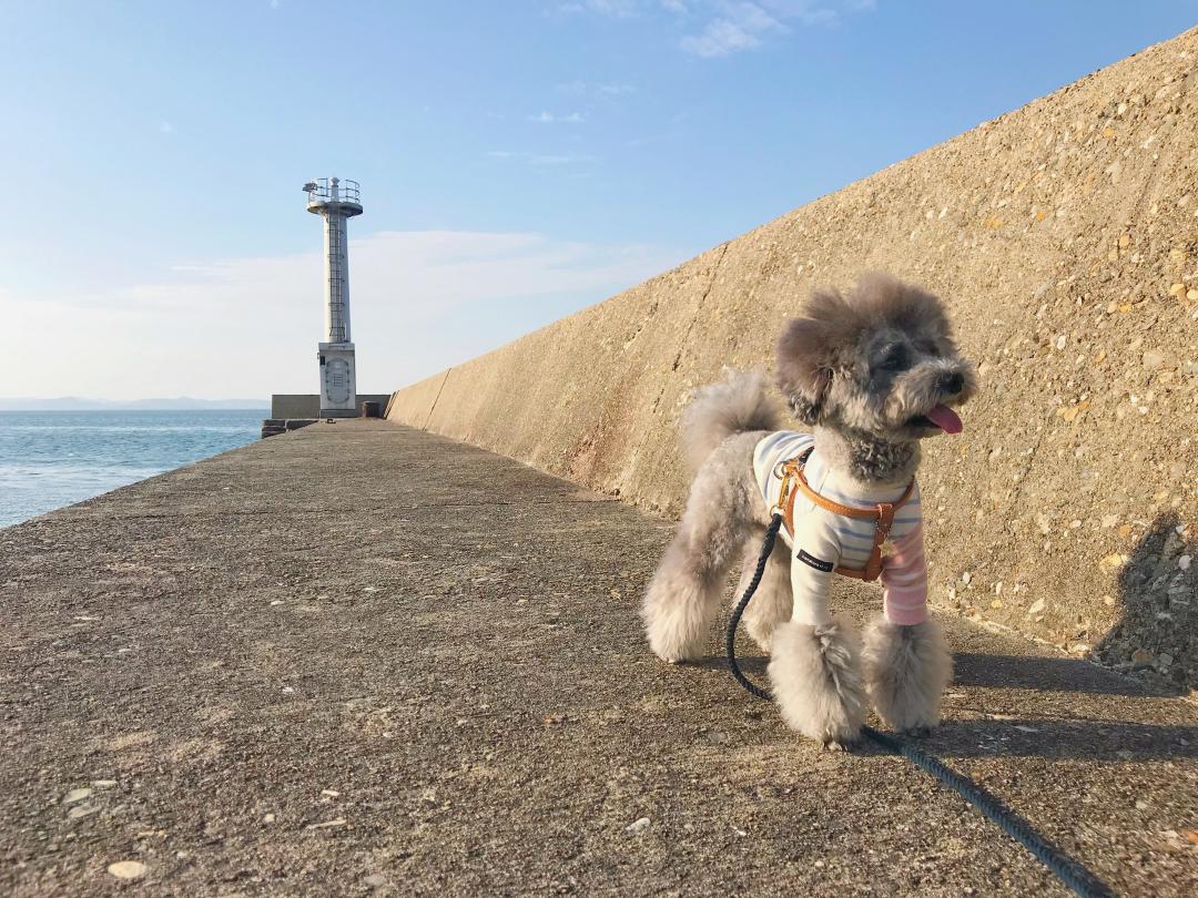 天気が良くてルンルン♪楽しいね♡♡