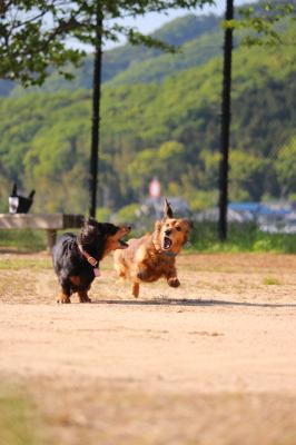 うぉらー！やったるわー！