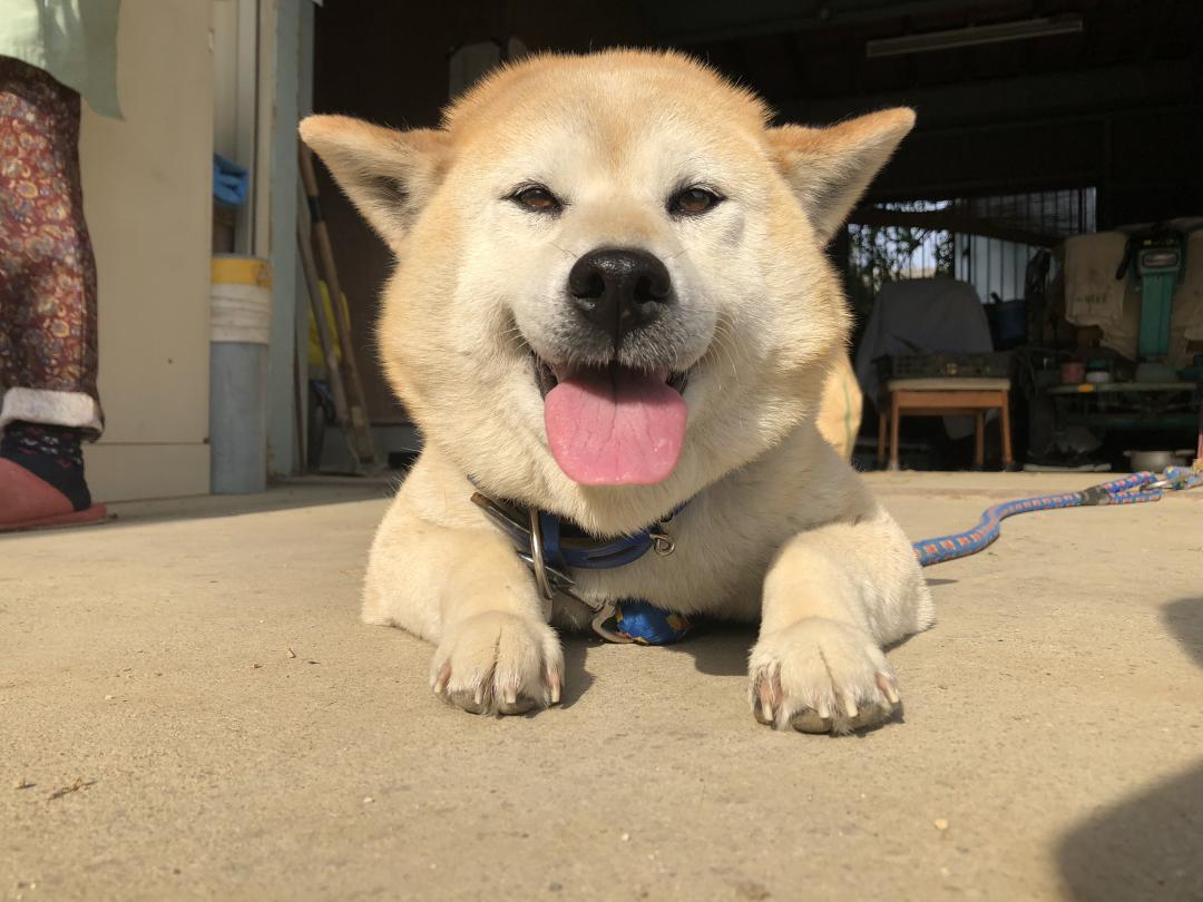 暖かい季節がやってきた！