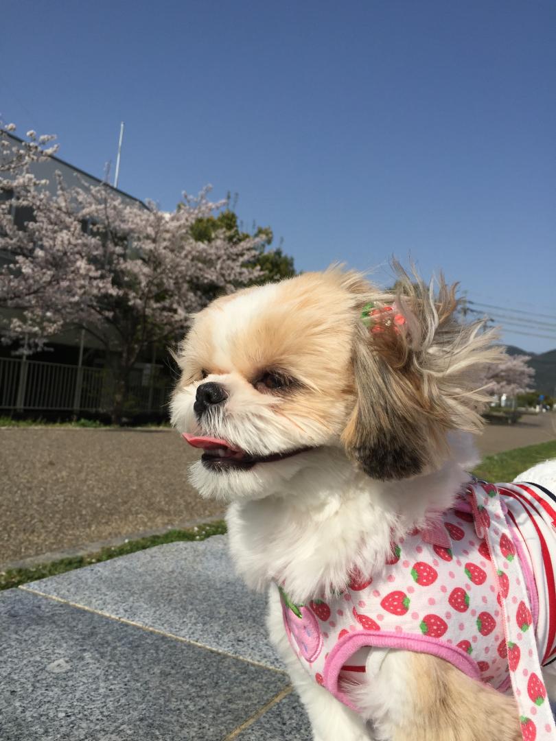 良いお天気で嬉しいな♪