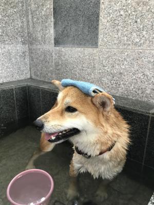 いい湯だなぁ～( ´͈ ᵕ `͈ )