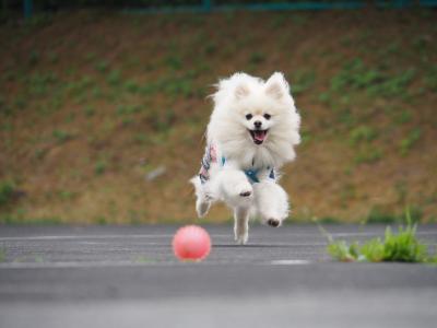 ランラン♪