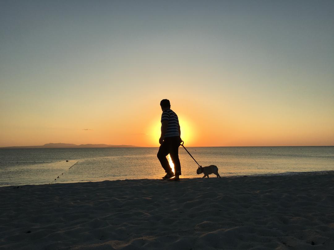 夕焼けとパパさんとブヒさん