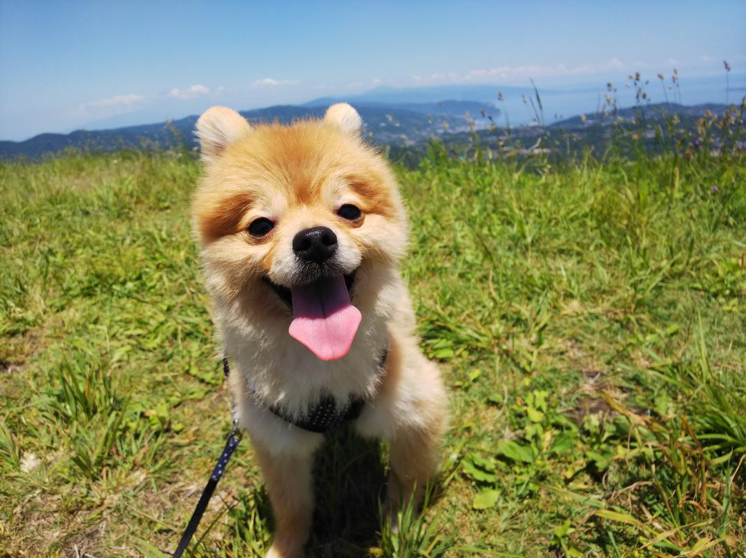 大室山に登ったよ♪