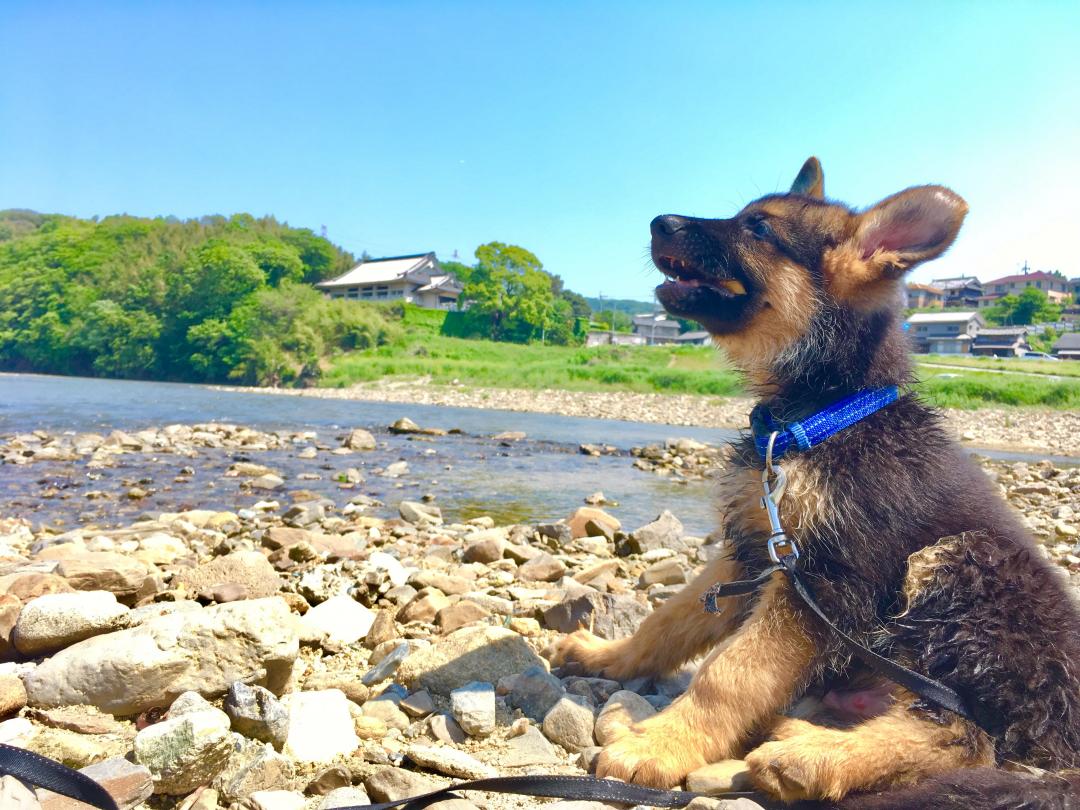 川遊びだいすき～♪