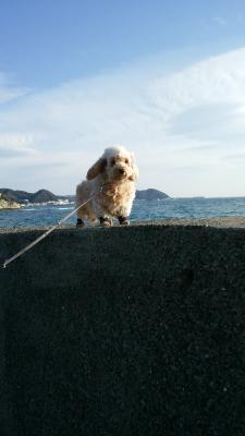 海にお出かけ