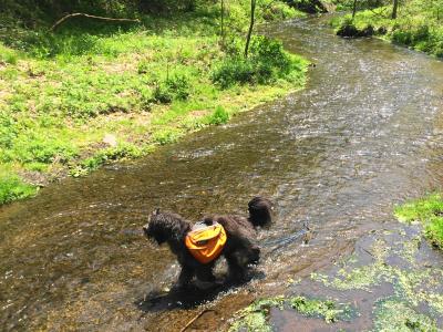 初めての水遊び