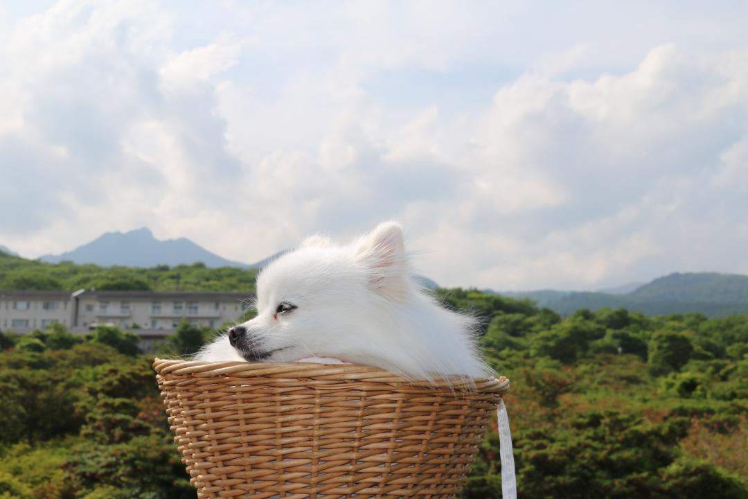 那須連山