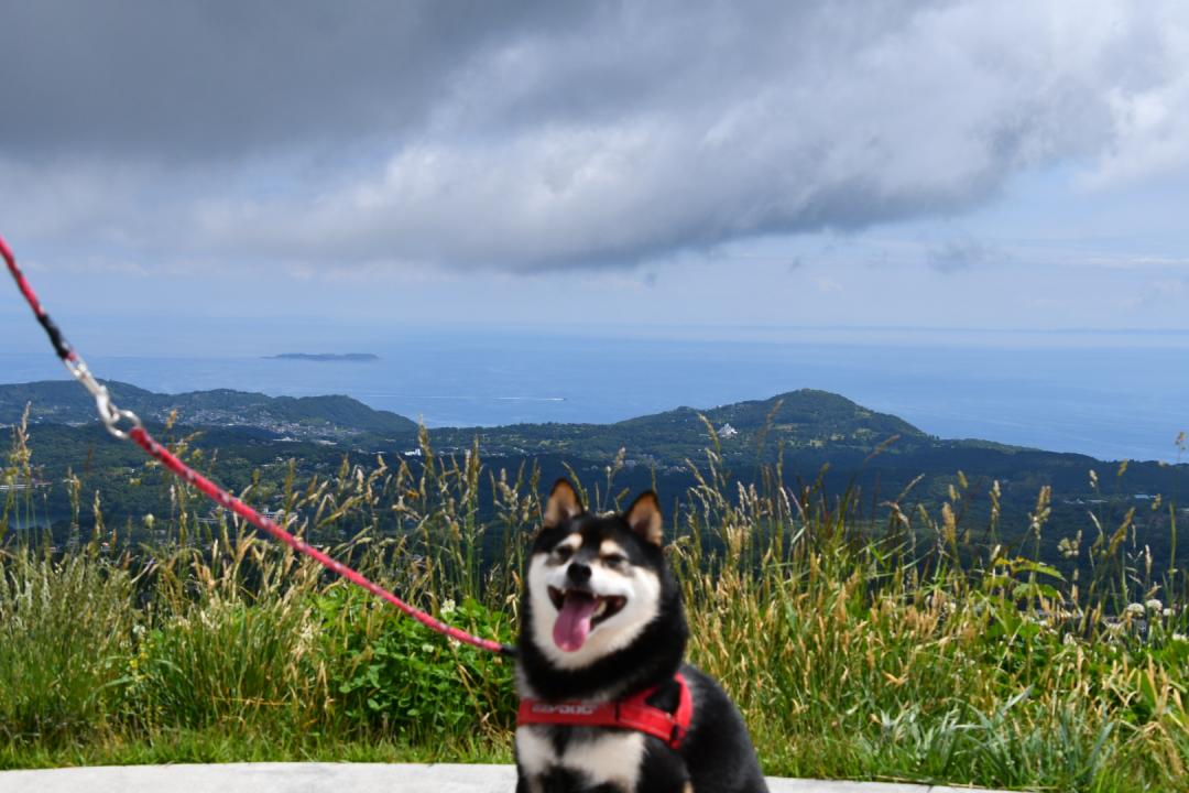 初夏の大室山