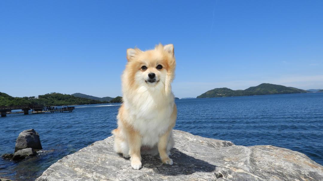 青い海、青い空、癒しの海