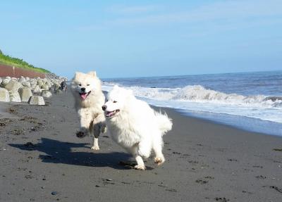 砂浜での徒競走！