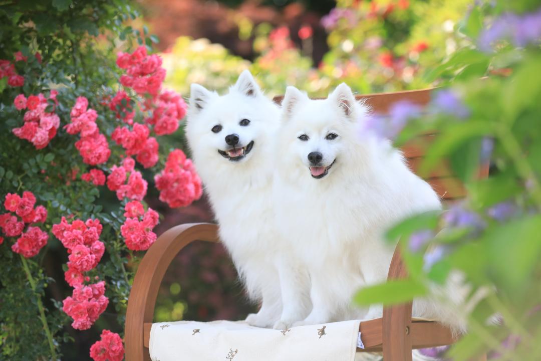 お花と一緒に夏の笑顔が咲きました！