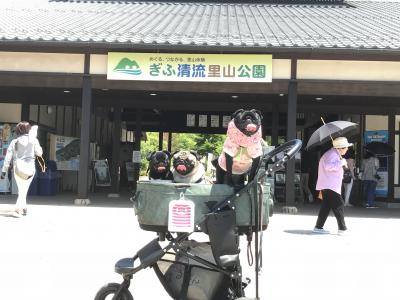 こつぶちゃん初めてのお出かけ 夏の前にぎふ清流里山公園に行きました