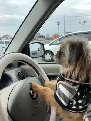 ドライブ行きましゅか？