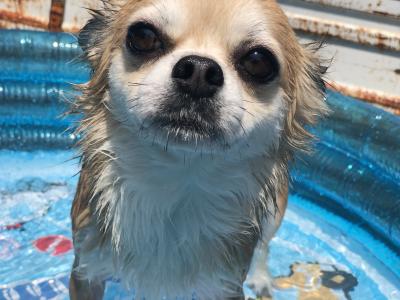 夏はやっぱり水遊び！！