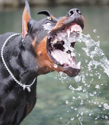 宿敵！水滴