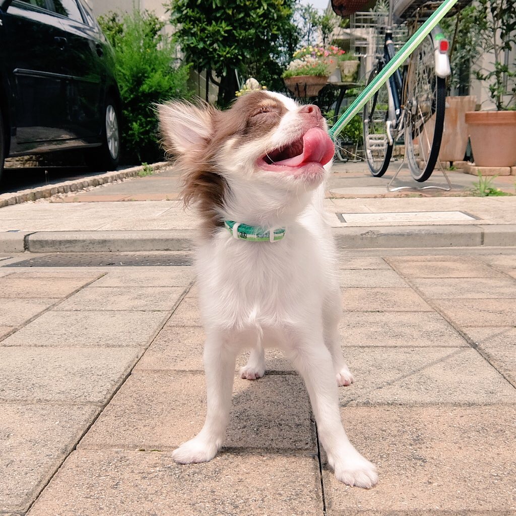 ぼく、生まれてはじめての夏だあーーー