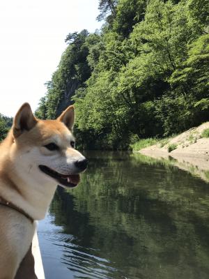 ショウと猊鼻渓舟下り