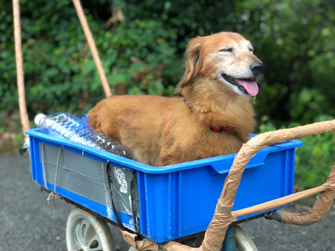 ぼくの車はオープンカー！