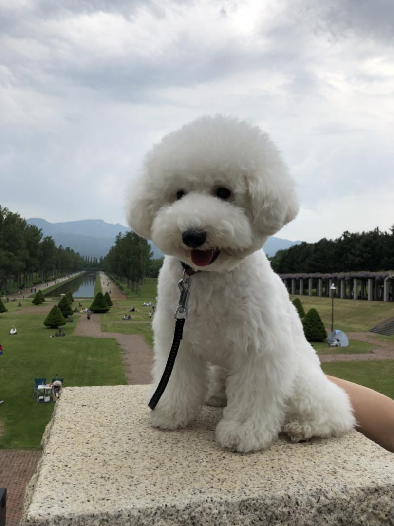 空、植物、雪男