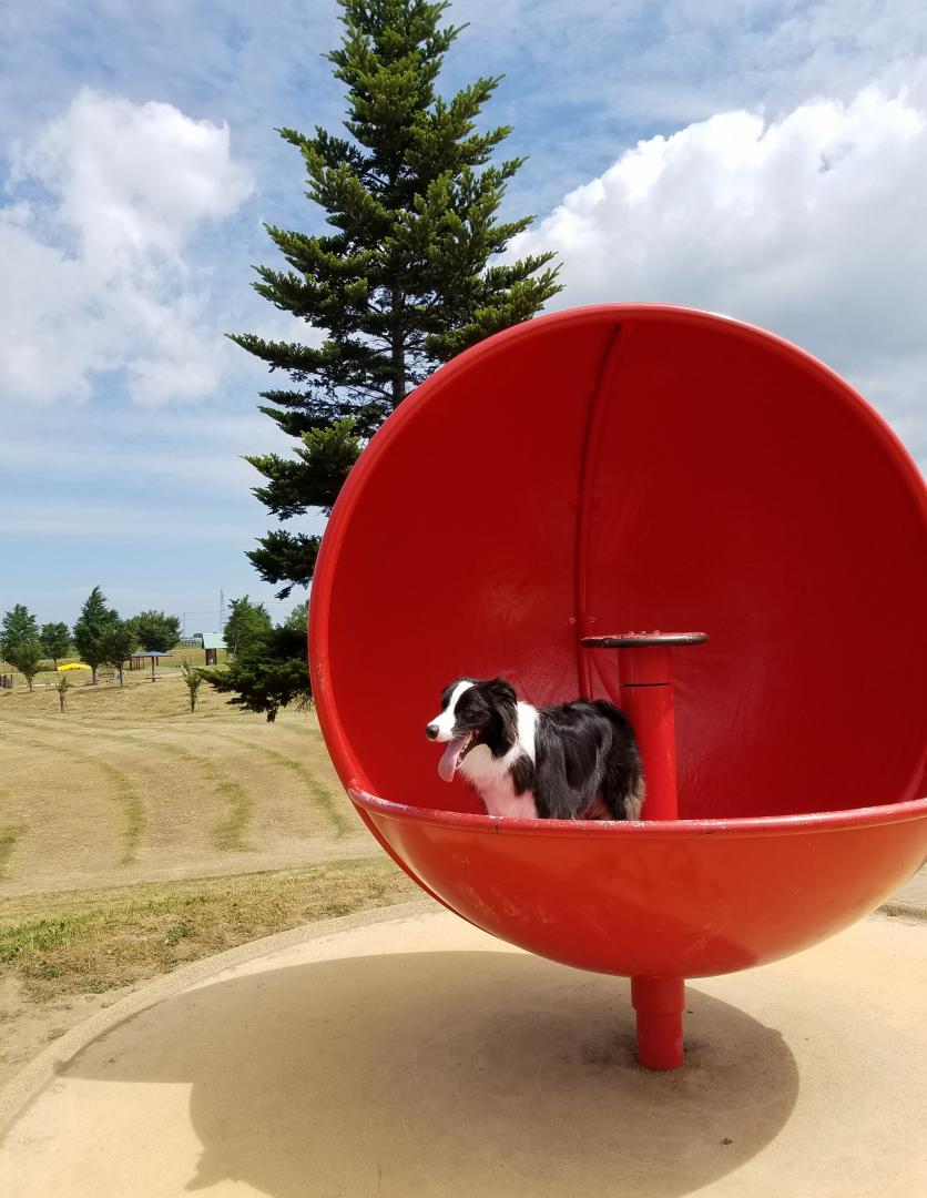 夏休みの公園