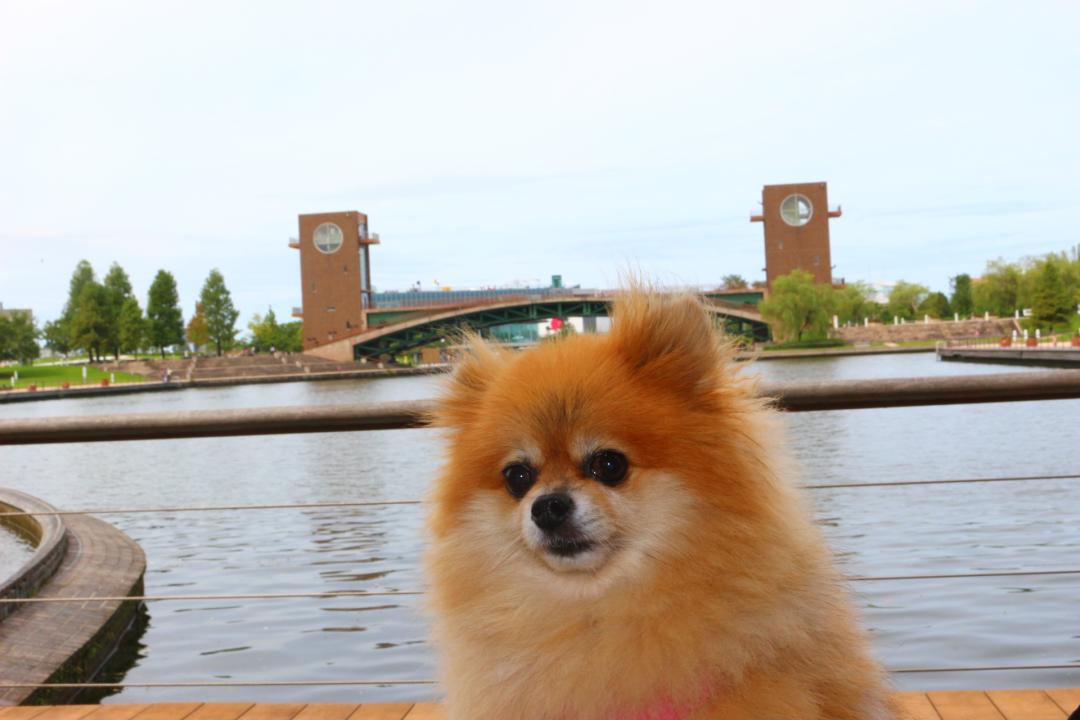 富岩運河環水公園へ