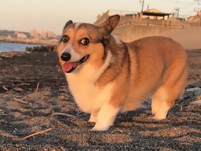 朝日を浴びて