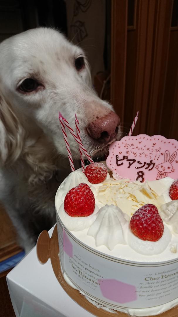 8回目のbirthday