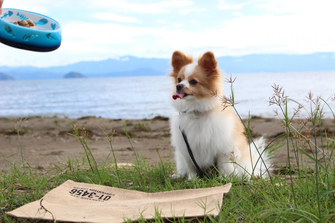 琵琶湖のほとりで朝ごはん