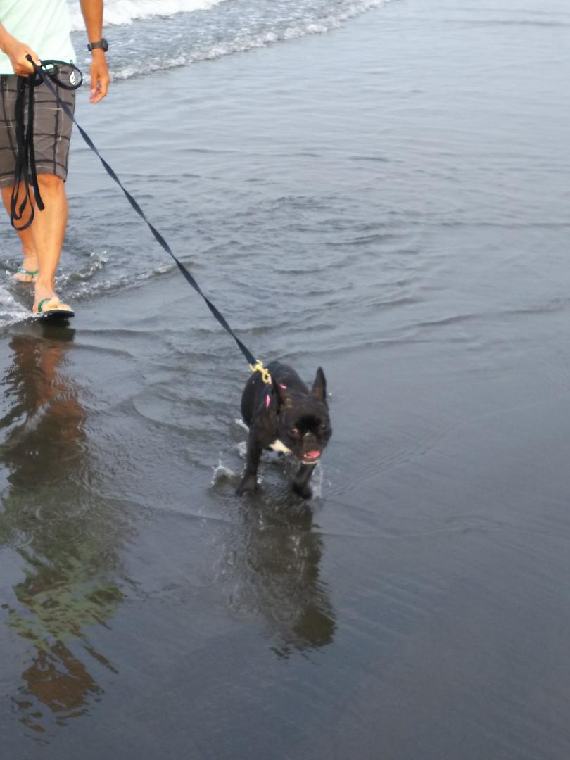 初めての海に大興奮