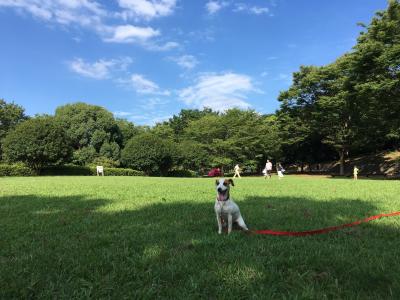 天高く馬肥ゆる秋。だんだん秋っぽくなってきたよ。涼しくて沢山走れるよー！