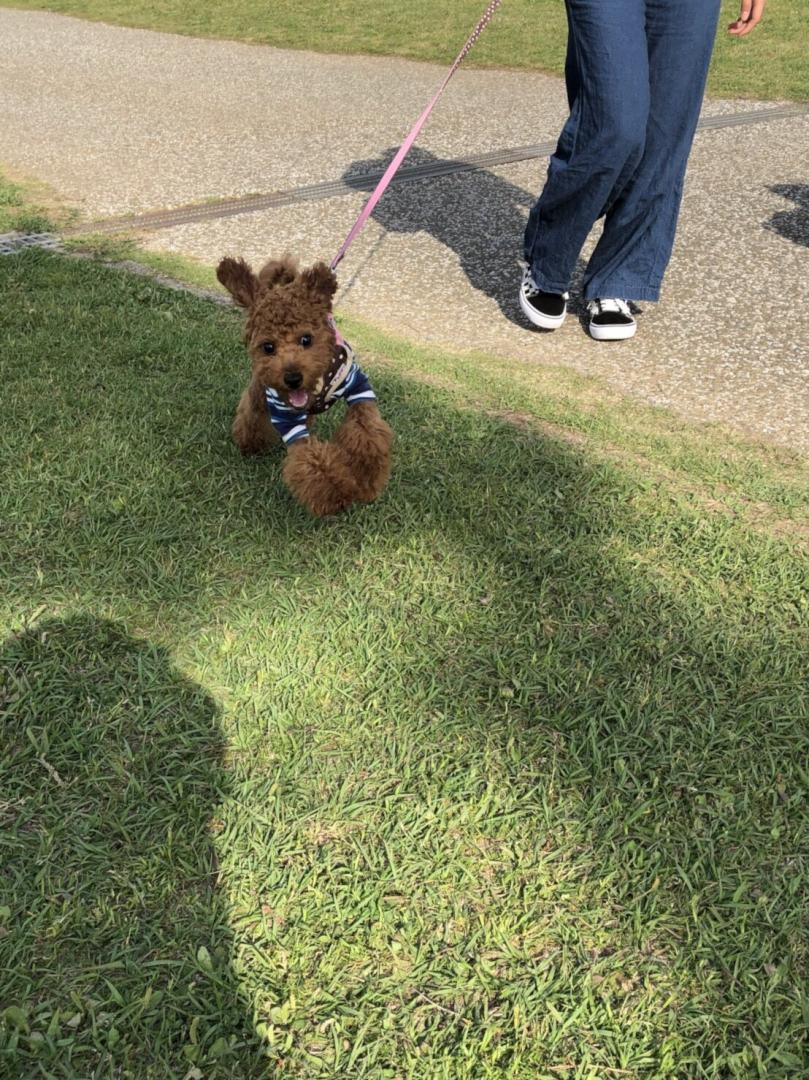 海の中道海浜公園