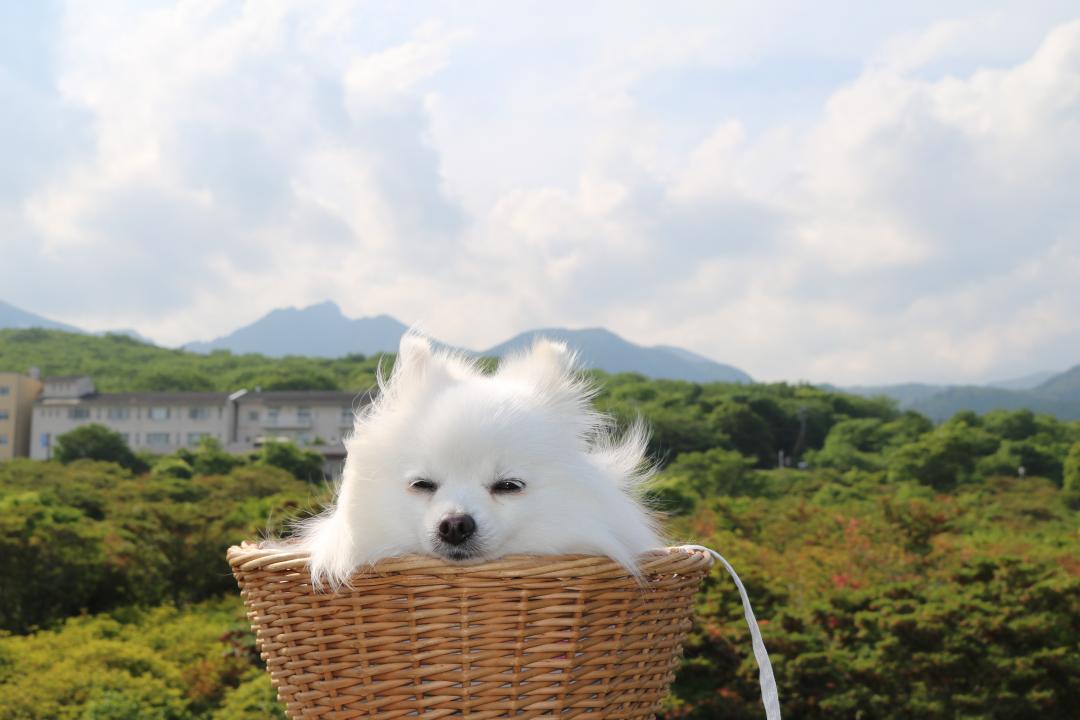 那須連山