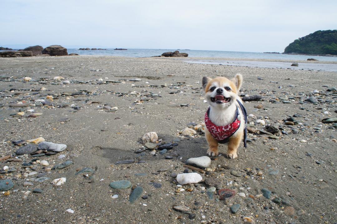 海に行きました。