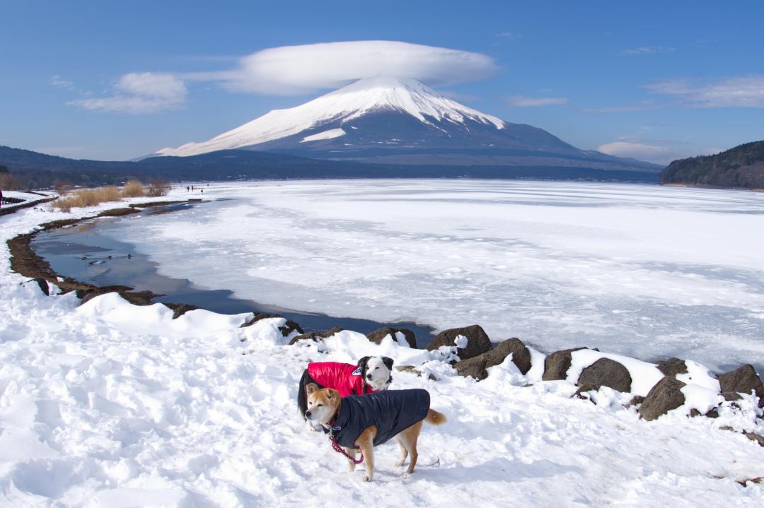 凍てつく湖面