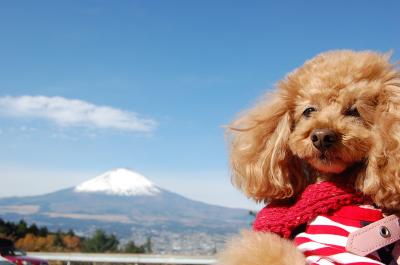 富士山見えた？