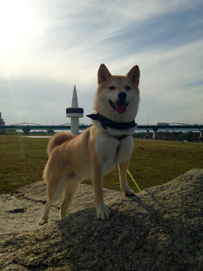 秋の空