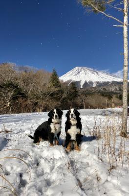 富士山