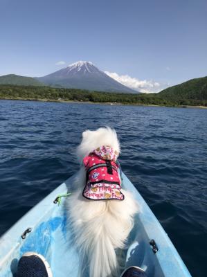 富士山に向かってGo!