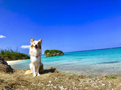 最強コンディションの海