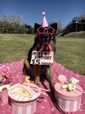 わたし雑種犬15さい女のコ happy b-day part2