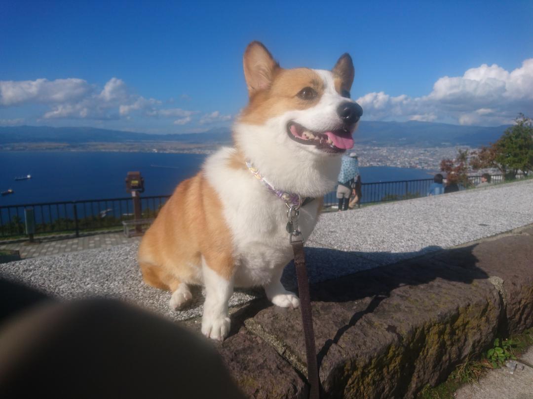 金宮と函館山