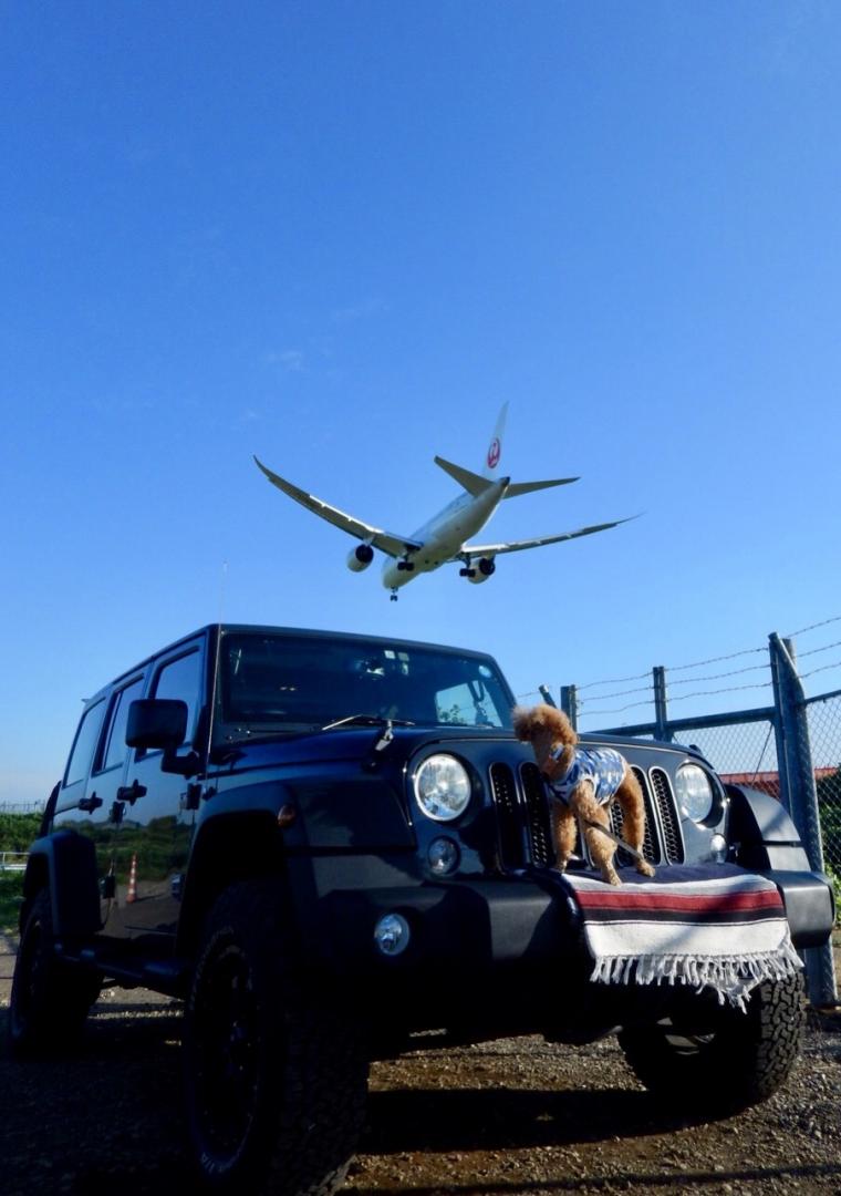 飛行機ー！