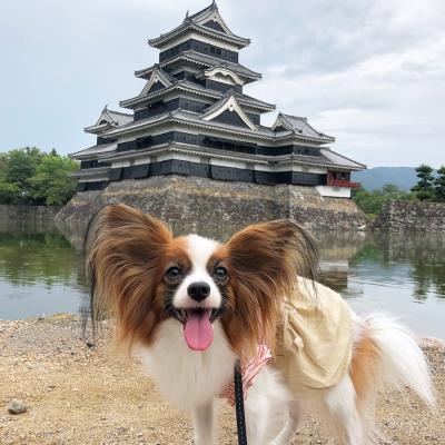 松本城とパチリ！