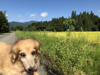 秋の風景