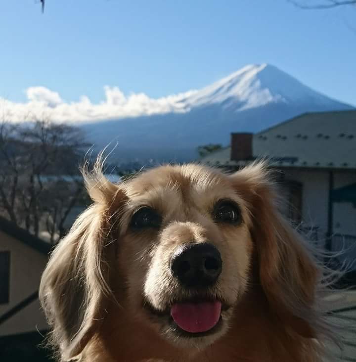 富士山と一緒にニコッ