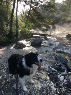 温泉地でのお散歩