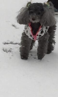 初雪⛄️