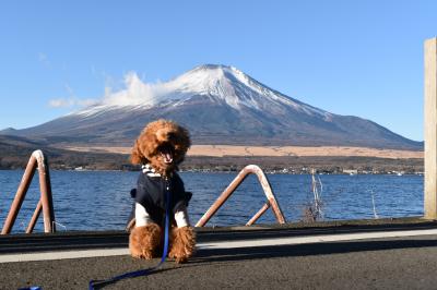 富士山だって食べちゃうぞ！